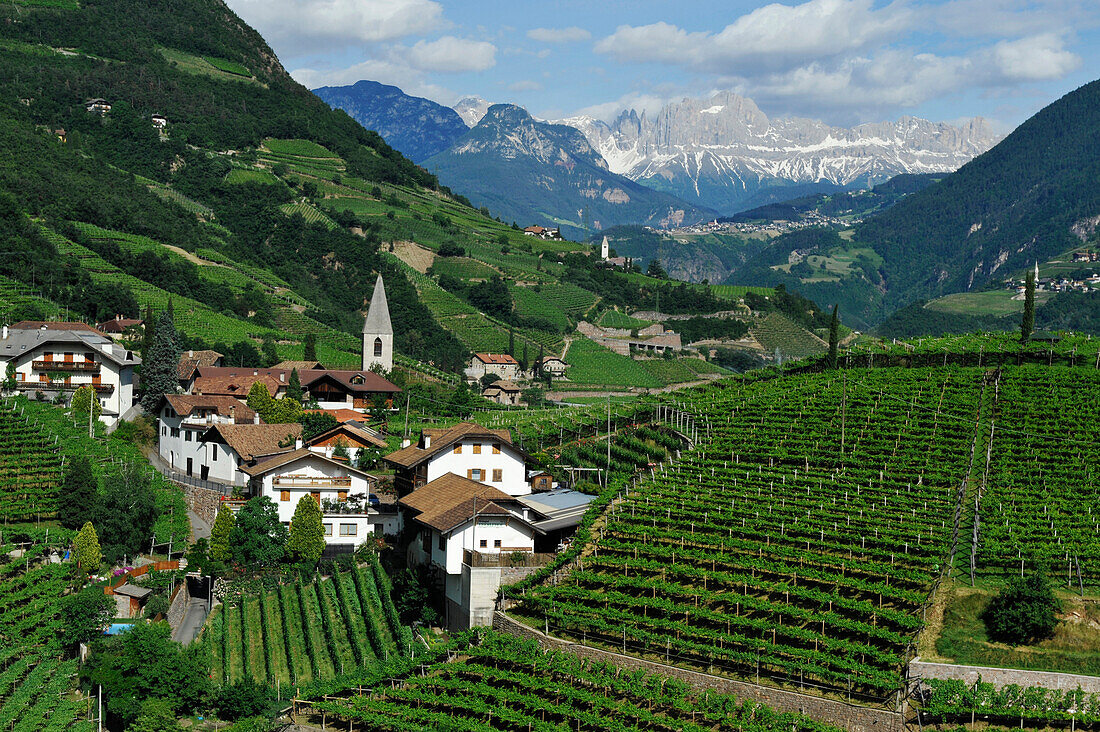 Vineyard and houses under clouded sky, Bolzano Rentsch, Dolomites, South Tyrol, Alto Adige, Italy, Europe