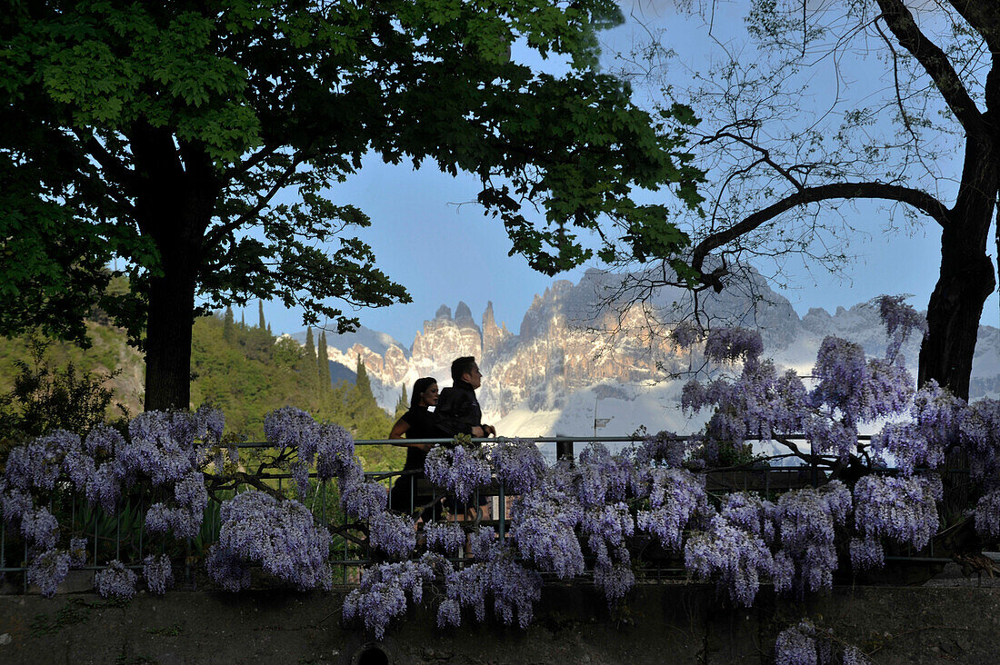 People on Talfer promenade in spring, Bolzano, Dolomites, South Tyrol, Alto Adige, Italy, Europe