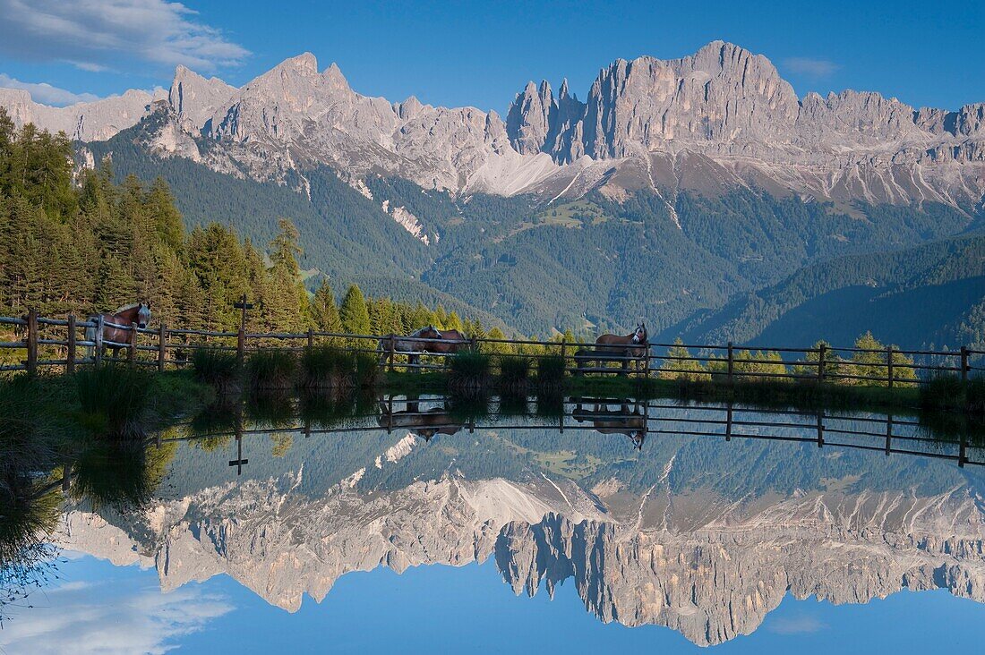 Berge spiegeln sich im Wuhn Weiher, Tiersertal, Südtirol, Alto Adige, Italien, Europa