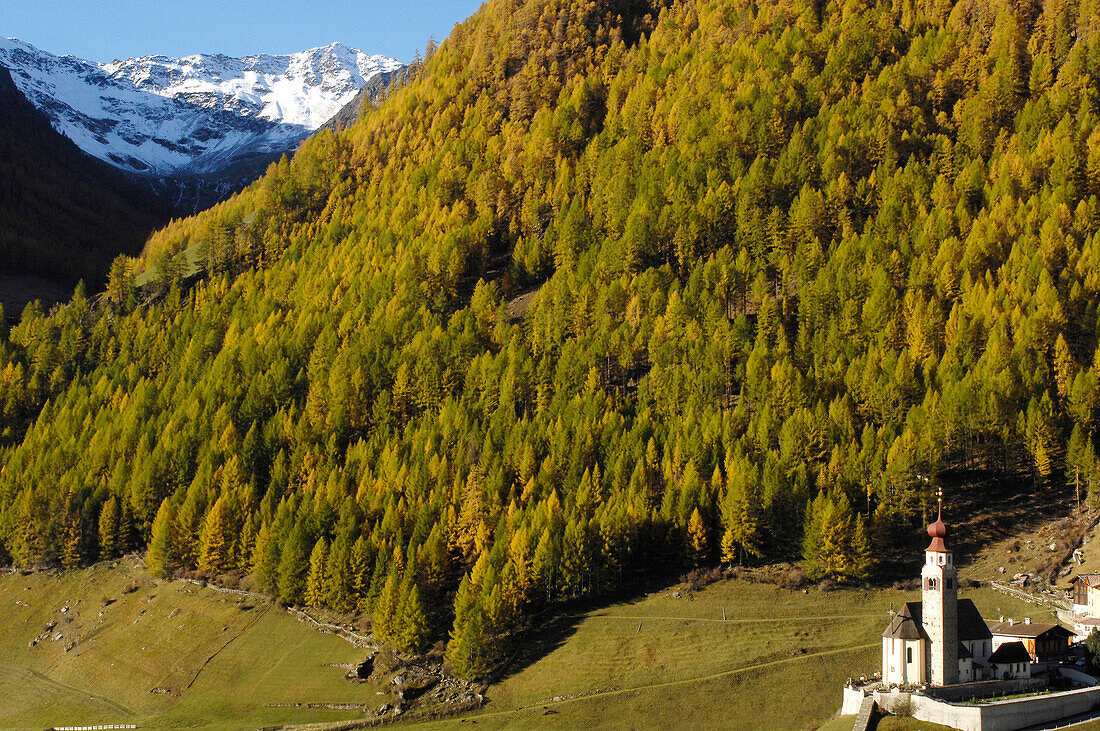 Church in front of autumnal forest, Schnals valley, South Tyrol, Alto Adige, Italy, Europe