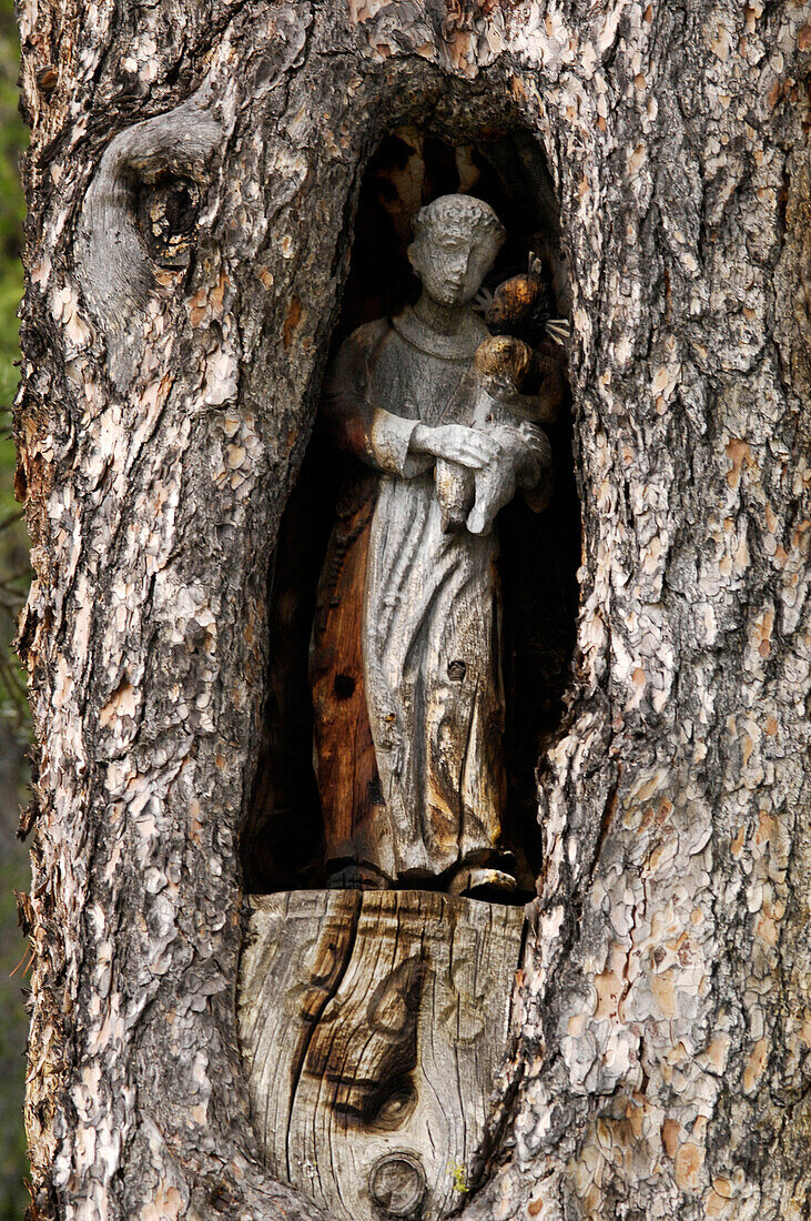 Figure of St. Christopher in a tree trunk, Val Badia, South Tyrol, Alto Adige, Italy, Europe