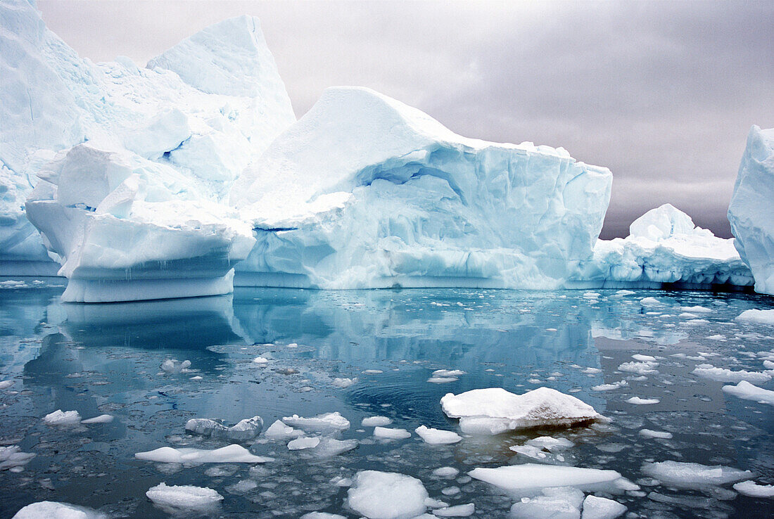 Iceberg floating in the sea, Paradise Harbor, Antarctic Peninsula, Antarctica