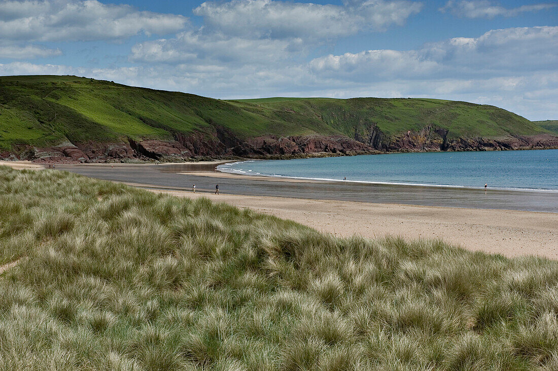 Freshwater East. One of the most beautiful beaches in Britain, Pembrokeshire, Wales, Cymru, UK