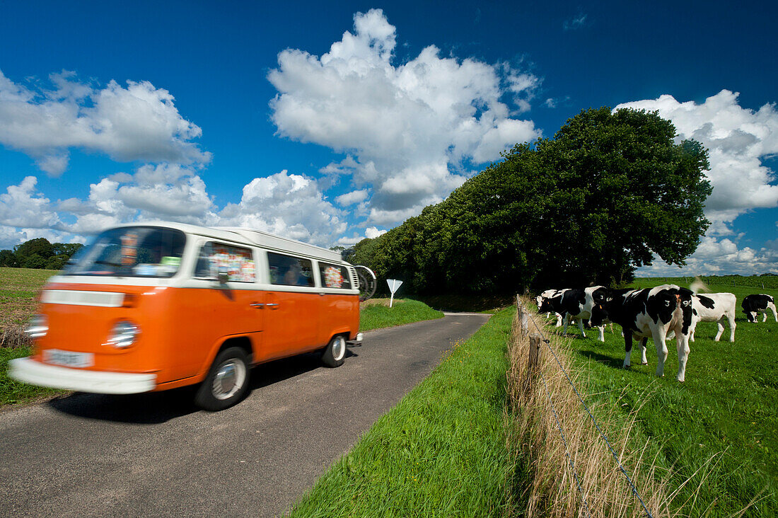 Campervan driving past field of cows, Normandy, France