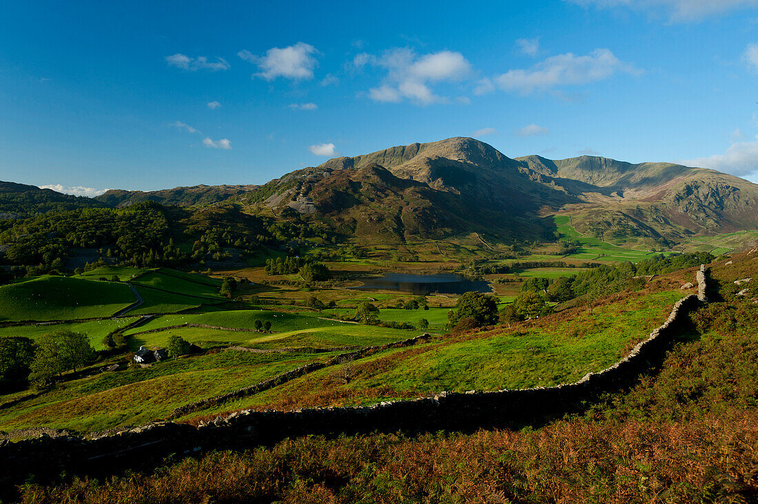 Looking towards Tilberthwaite Fells, Little Langdale, Lake District National Park, Cumbria, England