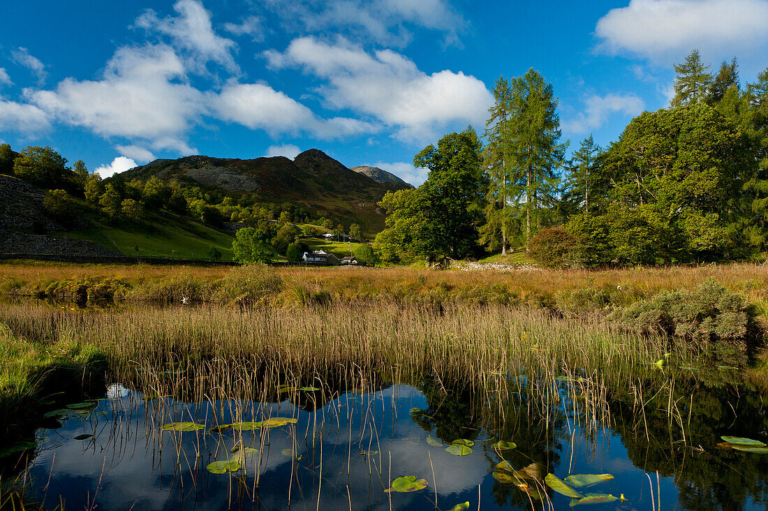 Calm waters of Little Langdale Tarn, Little Langdale, Lake District National Park, Cumbria, England