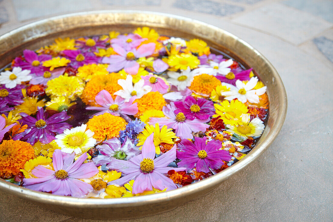 Bowl of flowers at Castle Bijaipur, Rajasthan India