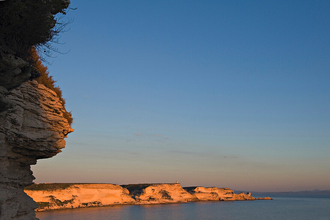 Limestone sea cliffs near Bonifacio. At sunset, Corse du Sud. Corsica. France