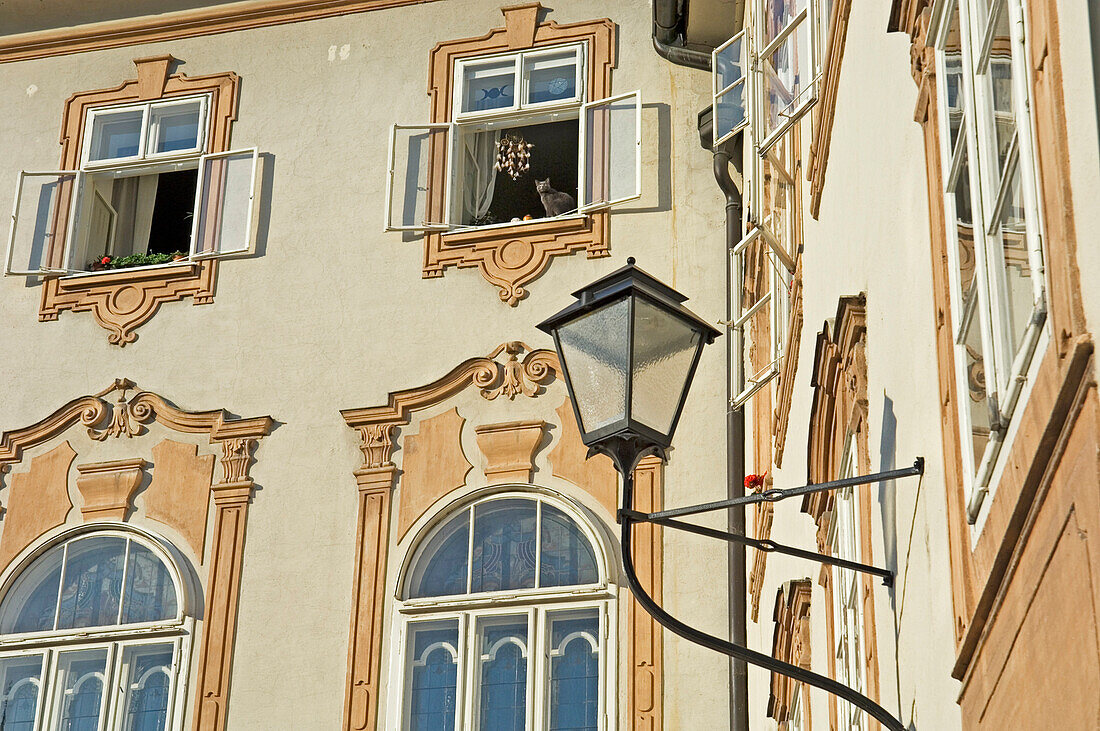 A black cat looks out of an open window in traditional building, Salzburg, Austria