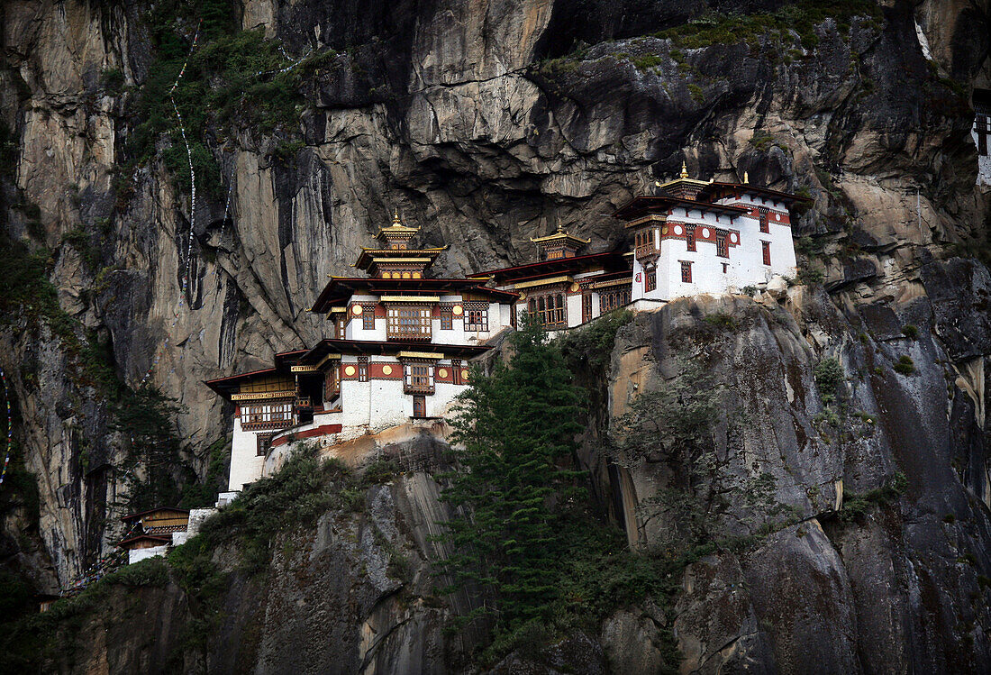 Buddhist in Taktsang Monastery, Paro, Kingdom of Bhutan