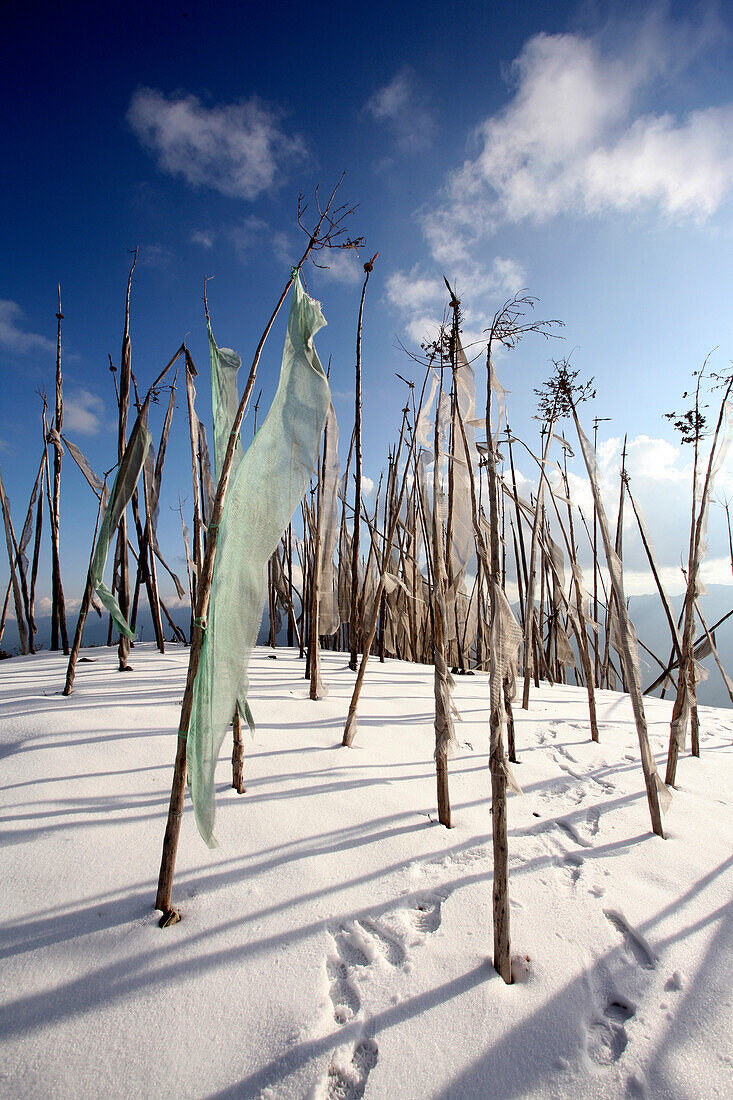 Prayer flags in snow above Paro Valley, Bhutan