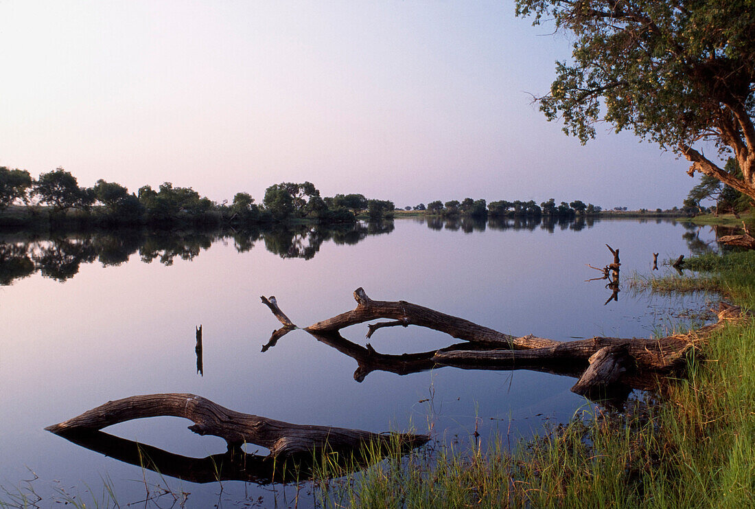 Zambesi River, Chobe