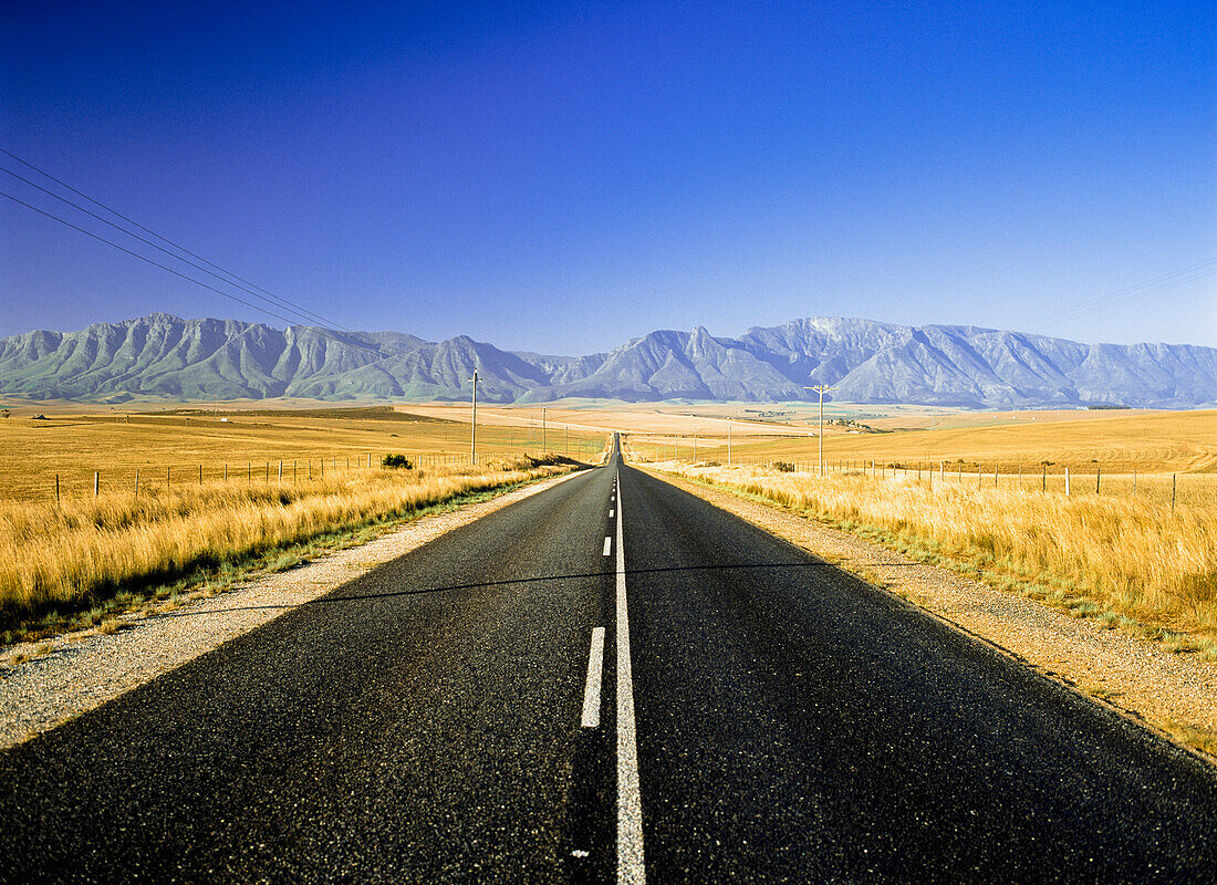 Straight road between fields, Swellendam, Western Cape, South Africa