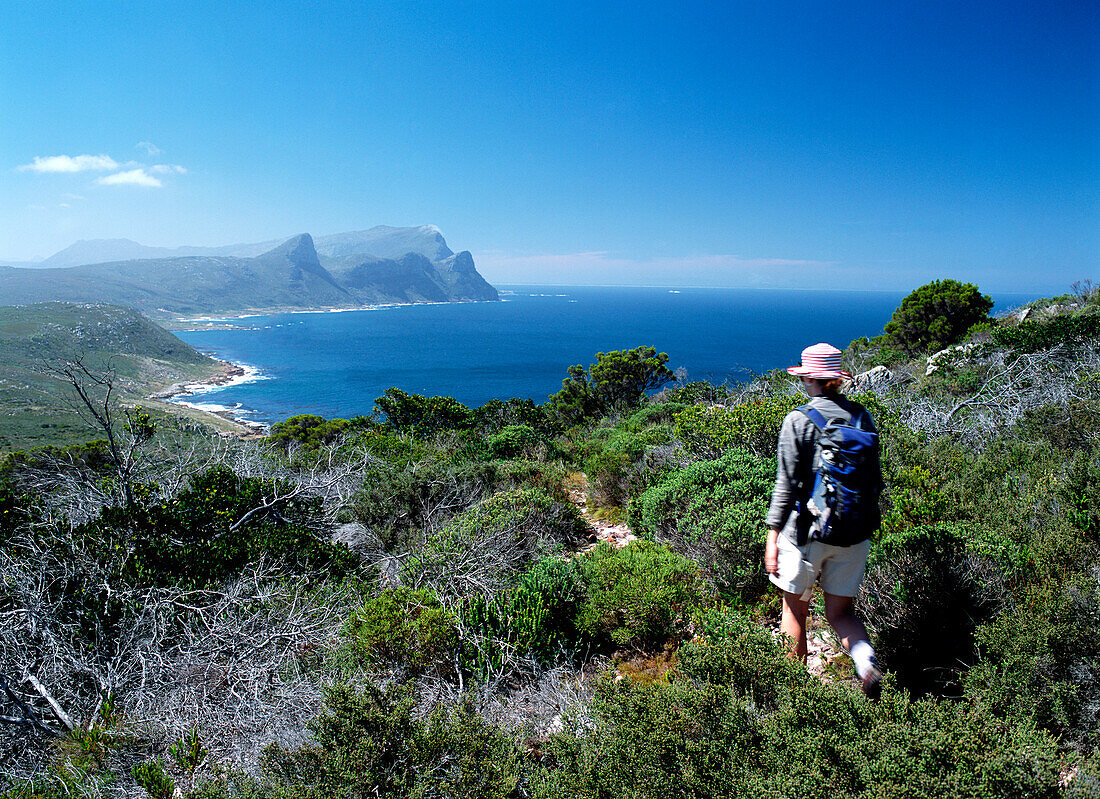 Walker going along path in the Cape of Good Hope Nature Reserve, Western Cape, South Africa