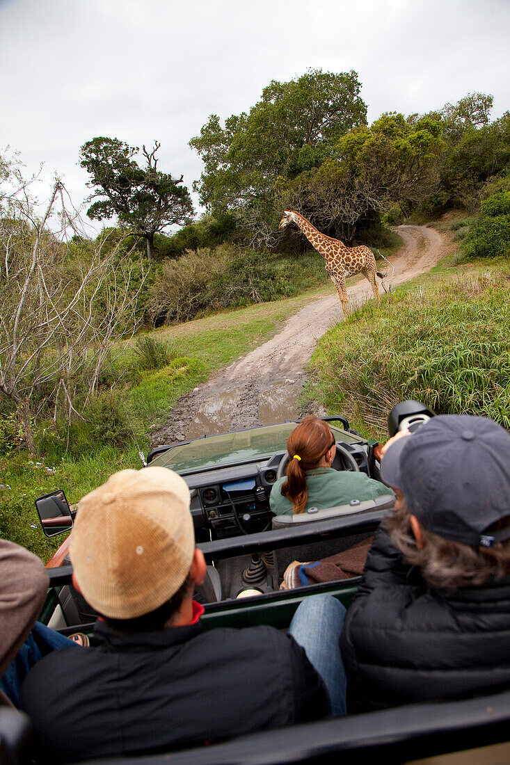 Kariega Game Reserve, South Africa