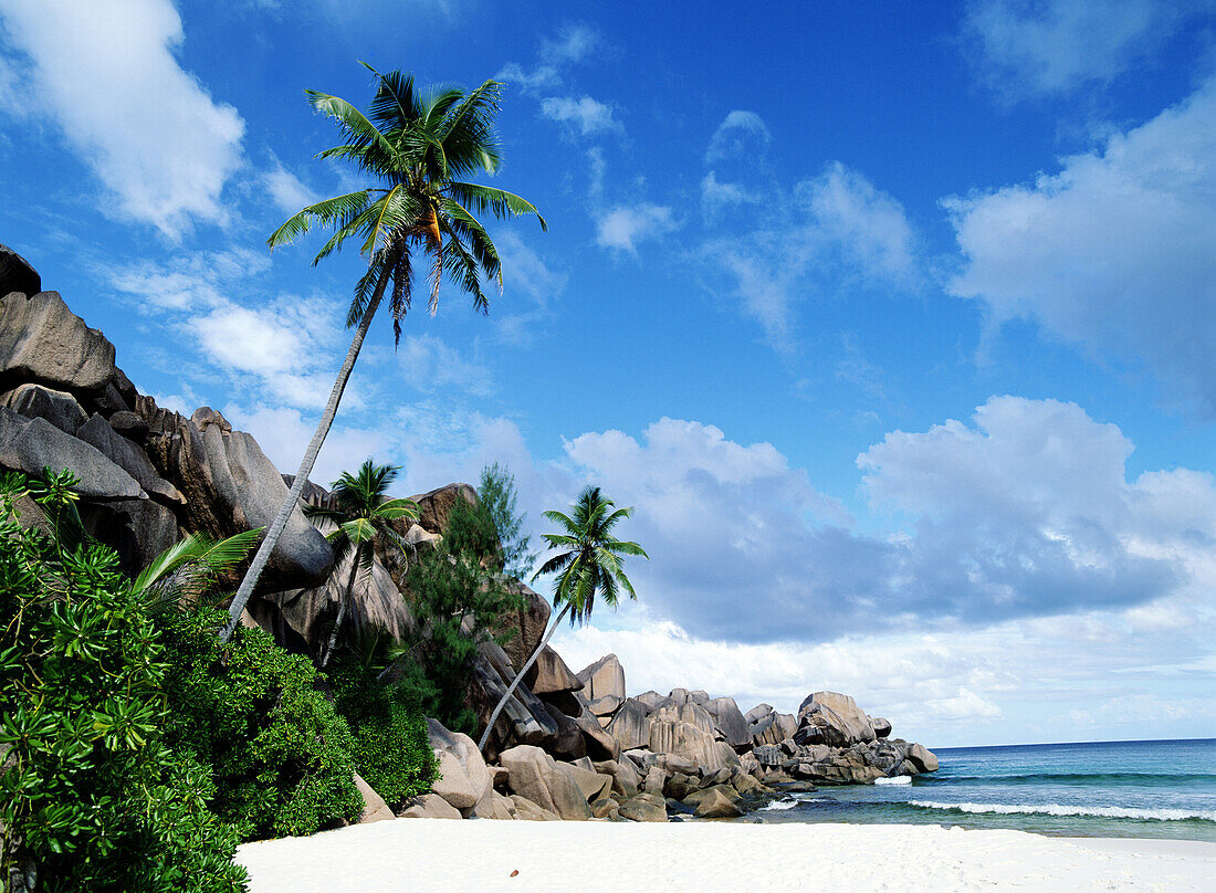 Tropical white sand beach, Grand Anse, La Digue, Seychelles