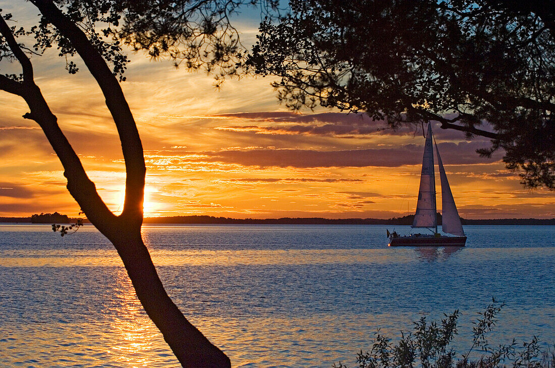 Yacht sailing on lake at sunset, Sunset over Lake Malaren, Sundbyholm Manor, Sweden.
