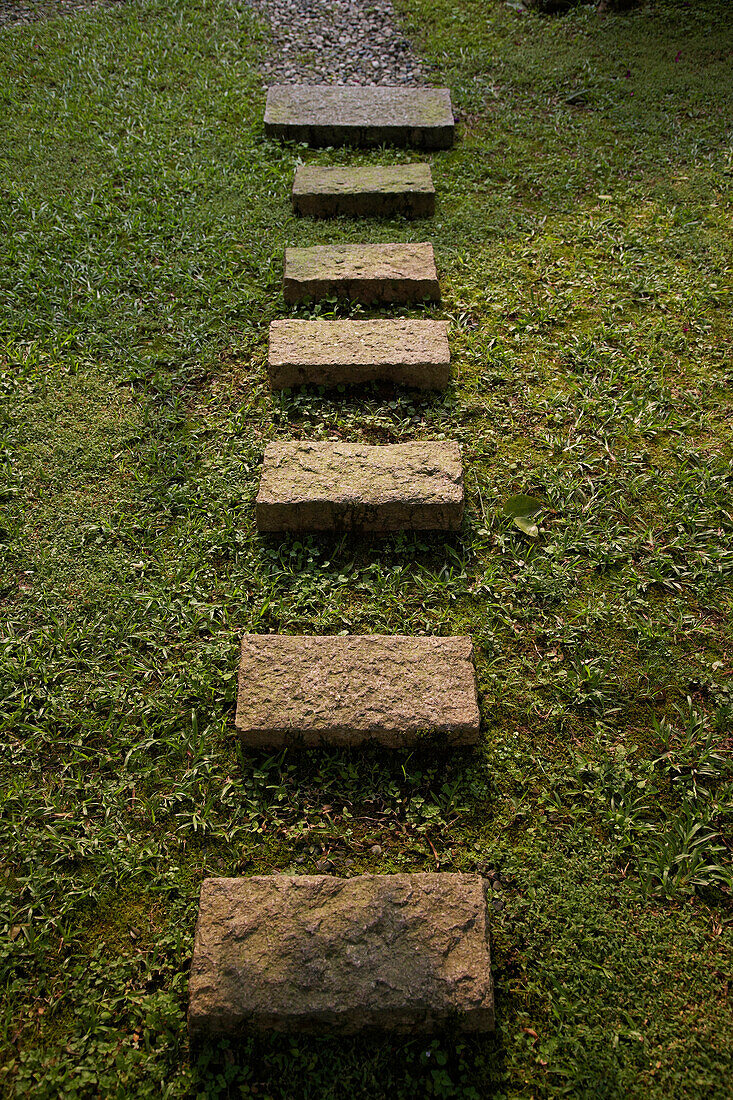 Stepping stones in tea garden Maokong tea park, Taipei, Taiwan