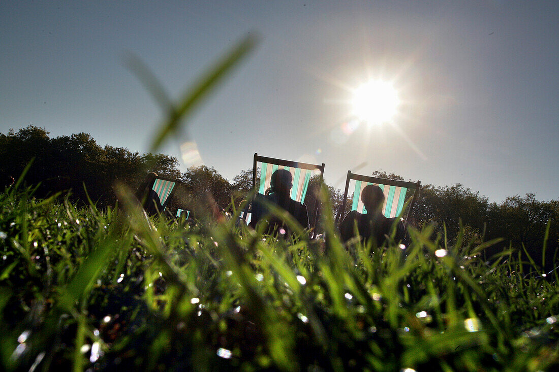 People sunbathing in Green Park, London, England