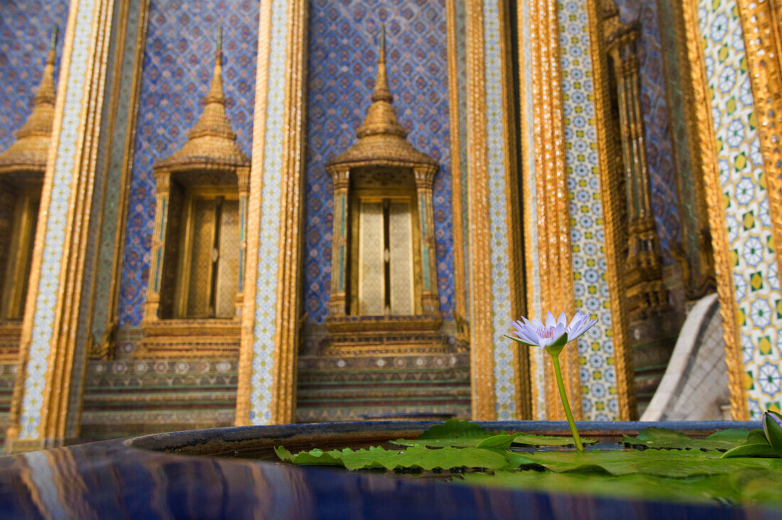 Lilly flower in large pot outside Wat Phra Kaew temple, Royal Palace complex, Bangkok, Thailand