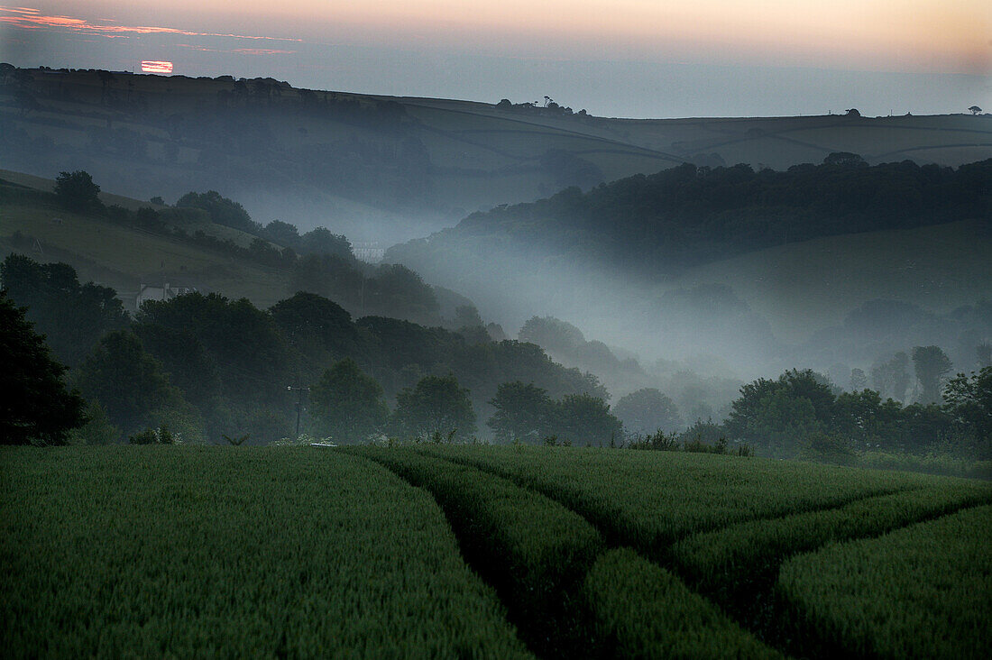 Sunrise over hills, Devon, England