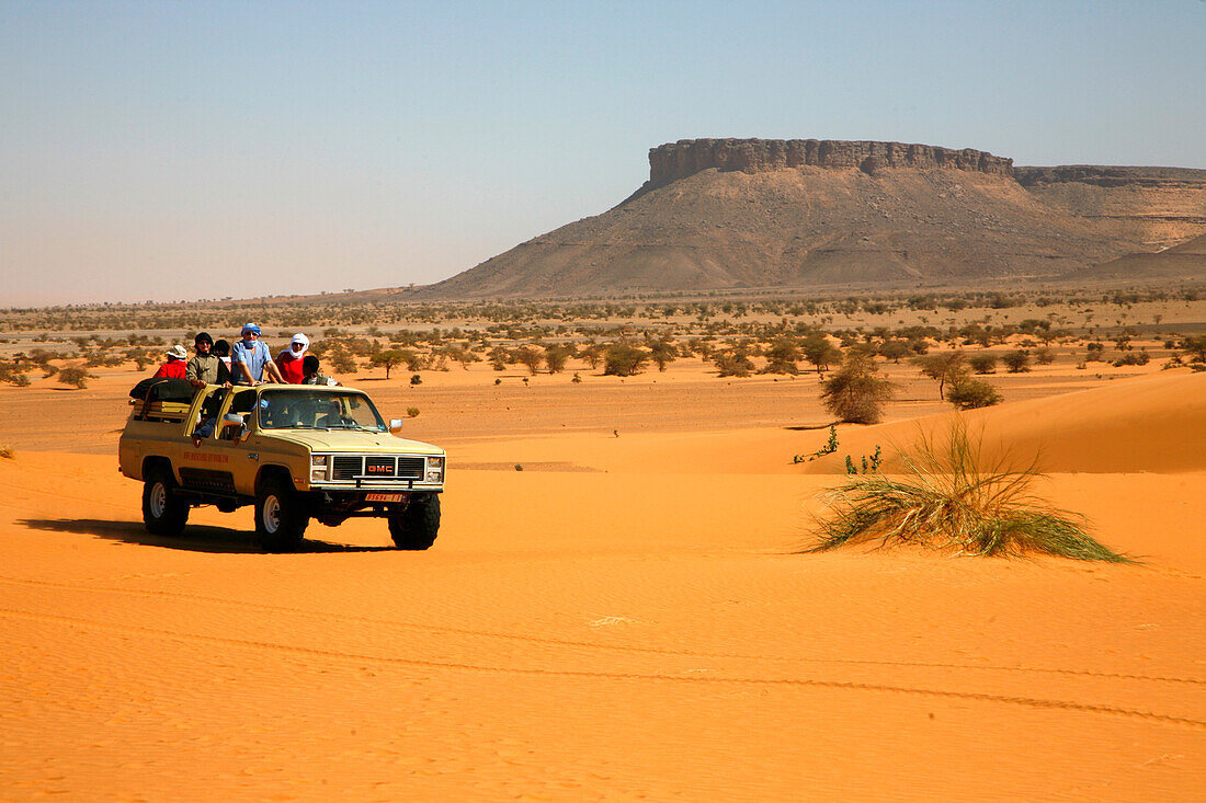 Africa, Maghreb, North africa, Mauritania, Adrar area, Azougui valley near Atar
