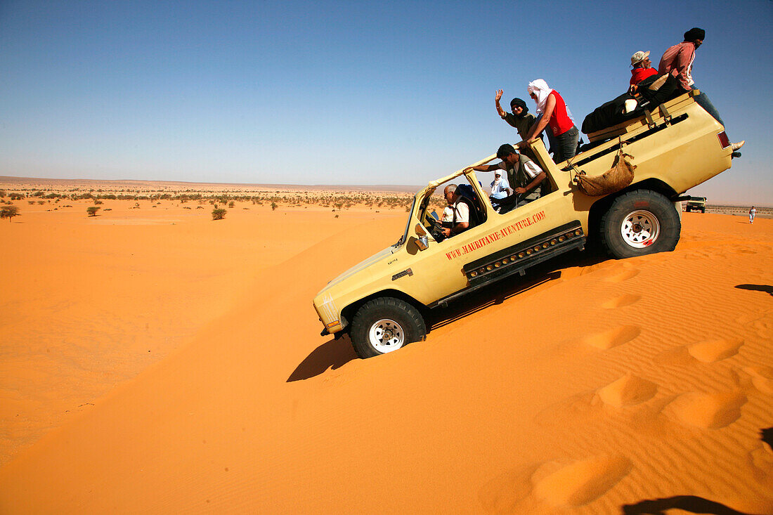 Africa, Maghreb, North africa, Mauritania, Adrar area, Azougui valley (near Atar)