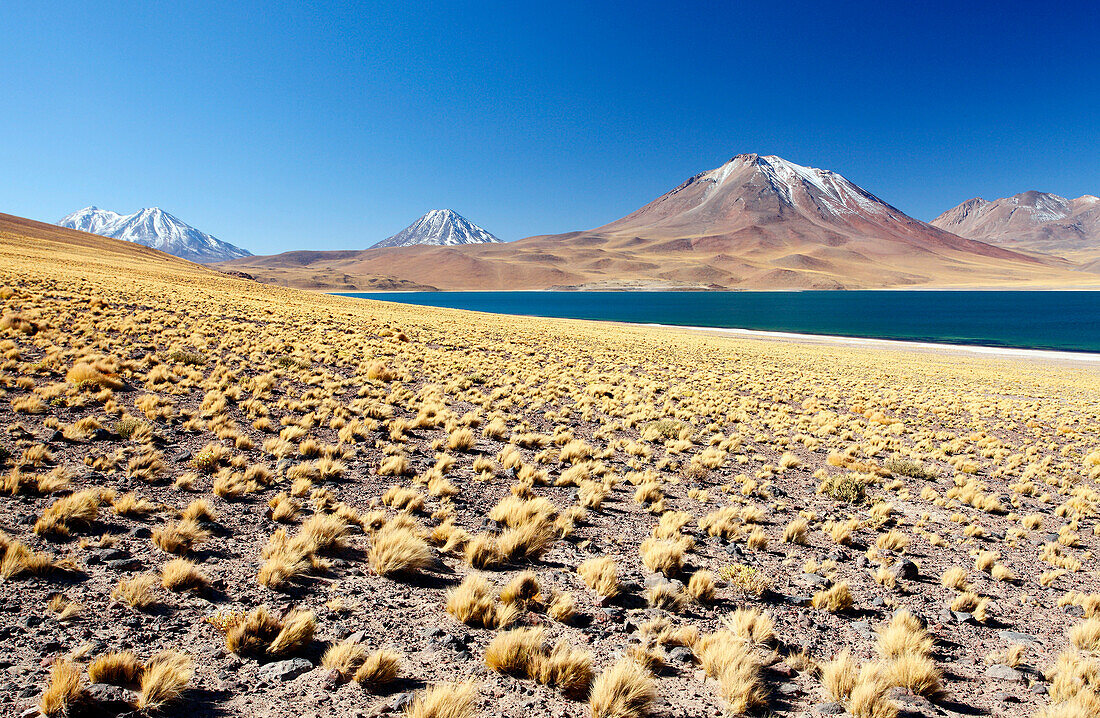 Chile, Atacama, altiplano, Laguna Miscanti, Miscanti volcano