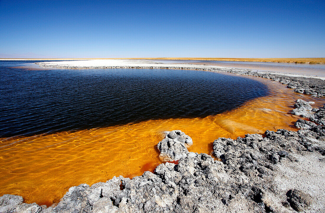 Chile, Atacama, Lagunas Cejar