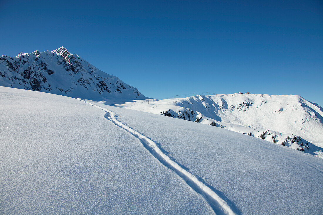 Snowboard track in fresh snow