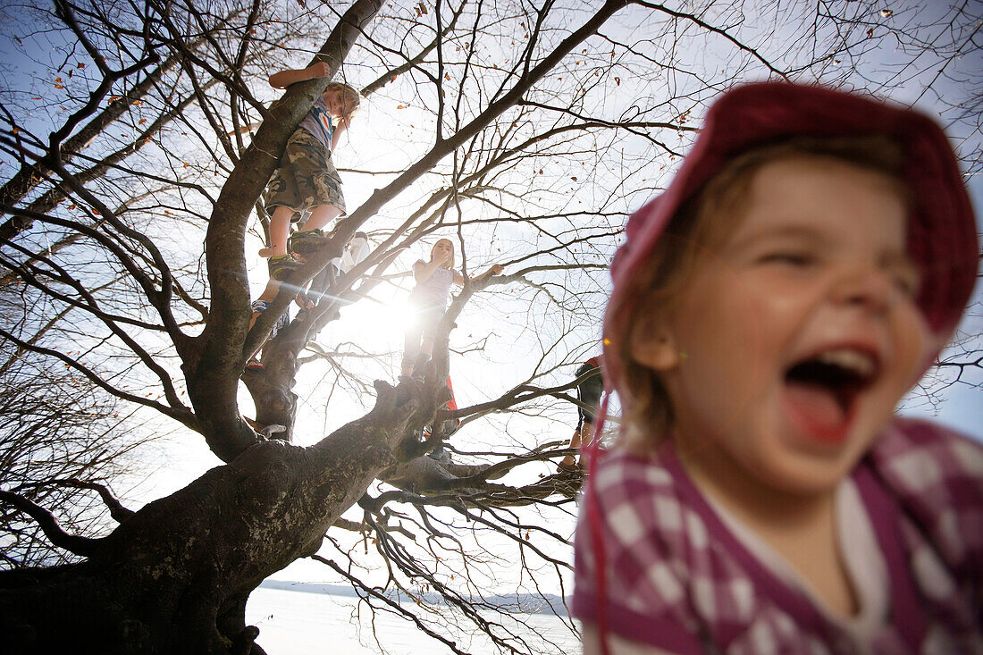 Children playing along the lakeshore, climbing a tree, Leoni castle grounds, Leoni, Berg, Lake Starnberg, Bavaria, Germany