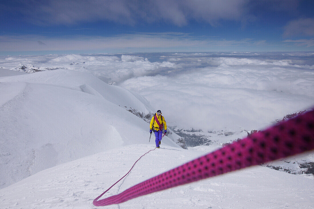 Bergsteiger, Südwestgrat Mönch, Grindelwald, Berner Oberland, Schweiz