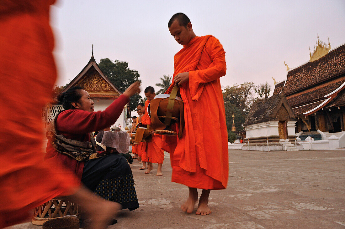 Mönche, morgendliche Almosenrunde, Luang Prabang, Laos, Südostasien, Asien