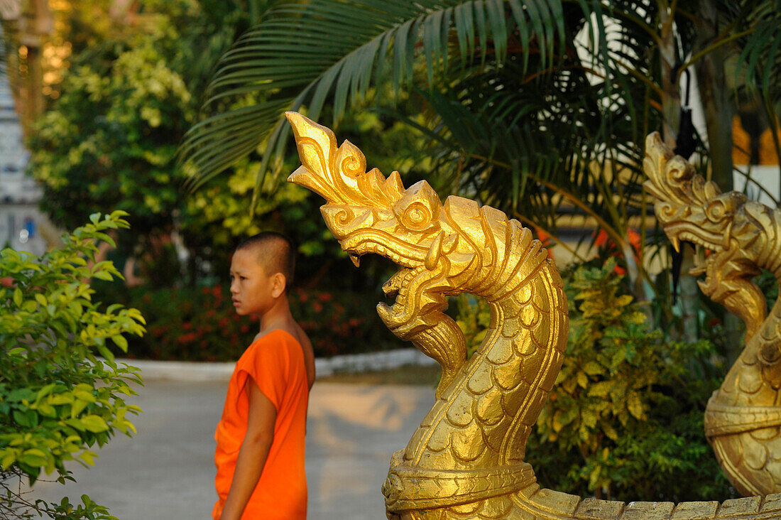 Golden Nagas and Buddhist monk, novice, Wat Luang, Pakse, Laos
