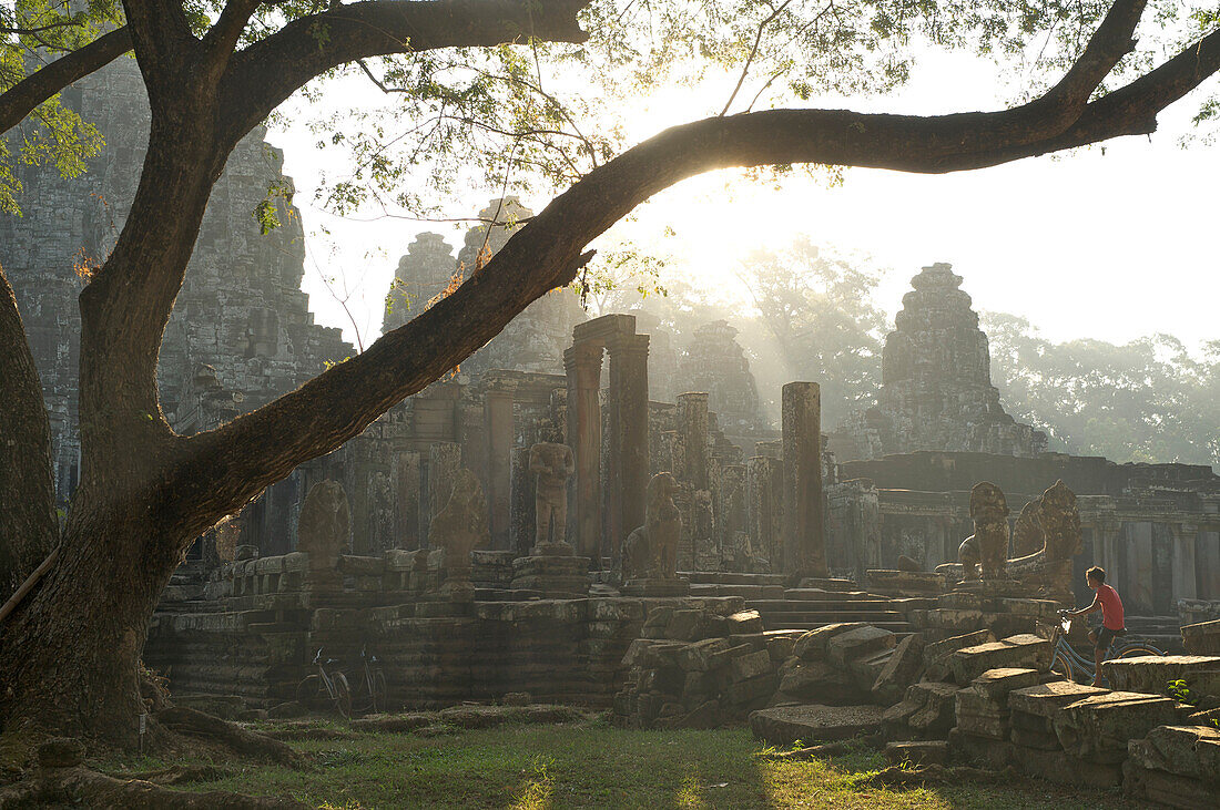 Baum im Morgenlicht am Tempel Bayon Tempel in Angkor Thom, Angkor, Kambodscha, Asien