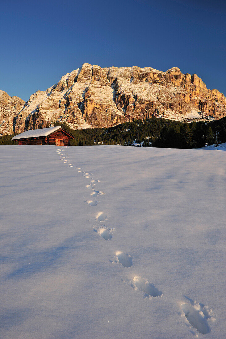 Snow-covered hay shed beneath Heiligkreuzkofel, Footprints in the snow, Val Badia, Dolomites, UNESCO World Heritage Site, South Tyrol, Italy