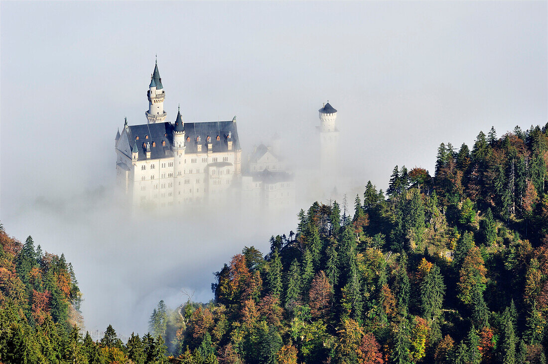 Neuschwanstein Castle above fog, Oberallgaeu, Bavaria, Germany