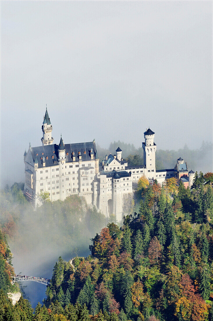 Neuschwanstein Castle above fog, Oberallgaeu, Bavaria, Germany