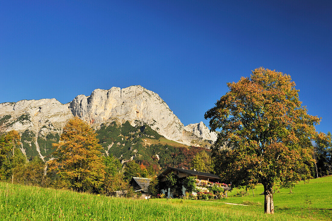 Bauernhof mit Untersberg, Berchtesgadener Hochthron, Berchtesgadener Alpen, Berchtesgaden, Oberbayern, Bayern, Deutschland