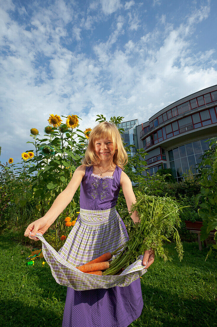 Girl harvesting carrots, Urban Gardening, Urban Farming, Stuttgart, Baden Wurttemberg, Germany