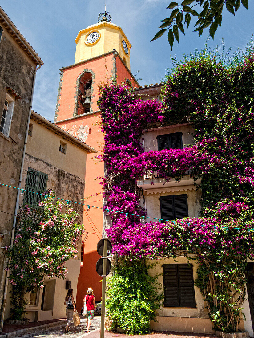 Houses at the old town, St. Tropez, Cote d'Azur, Provence, France, Europe