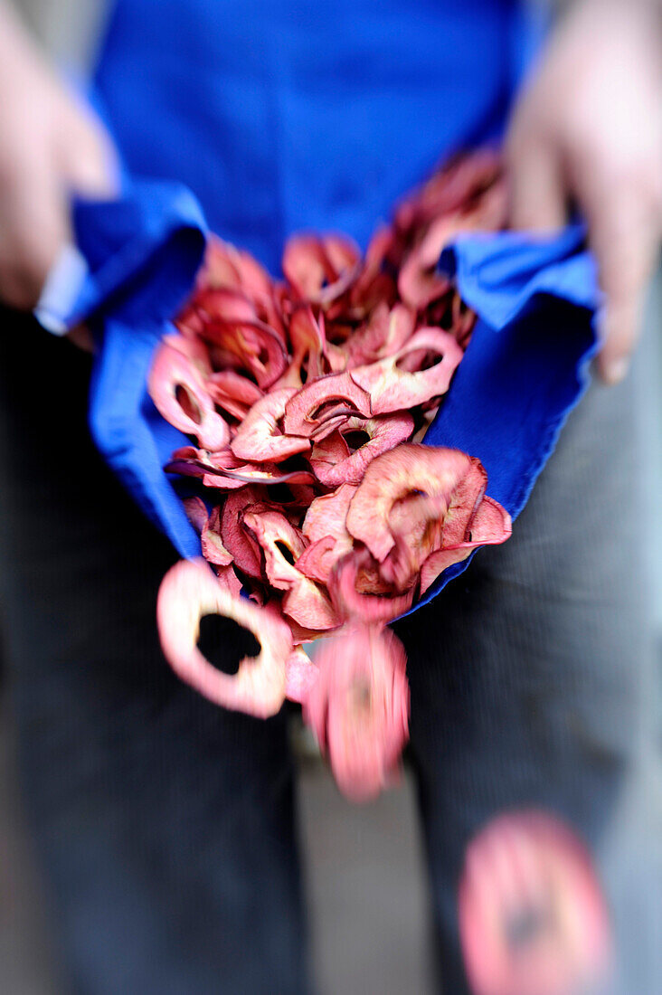 A person carrying dried fruit in an apron, Laas, Val Venosta, South Tyrol, Italy, Europe