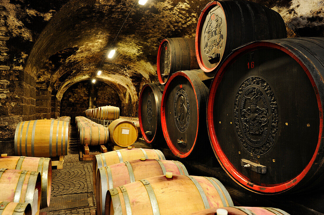 Weinfässer in der Kellerei Bozen, Bozen, Südtirol, Italien, Europa