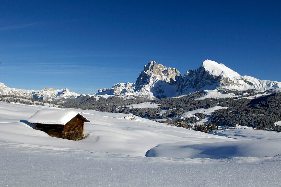 Holzhütte mit Schnee bedeckt, Plattkofel Alm, Seiser Alm, Eisacktal, Südtirol, Trentino-Alto Adige, Italien