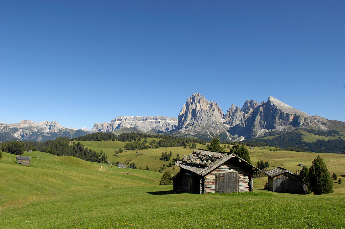 Ein Holzhütte im Tal, Langkofelgruppe, Dolomiten, Südtirol, Trentino-Alto Adige, Italien