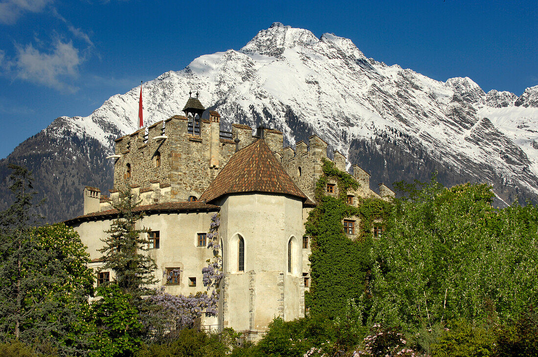 Schloss Forst, bei Meran, Vinschgau, Südtirol, Trentino-Alto Adige, Italien