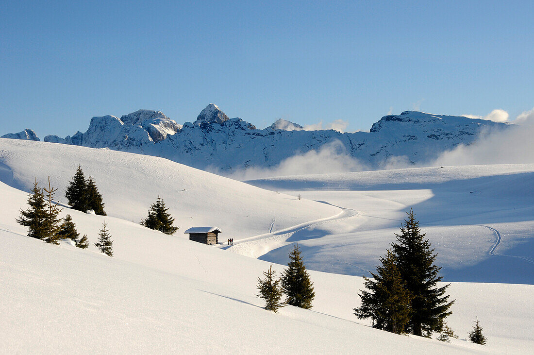 Neuschnee, Puflatsch, Seiser Alm, Valle Isarco, Südtirol, Trentino-Alto Adige, Italien