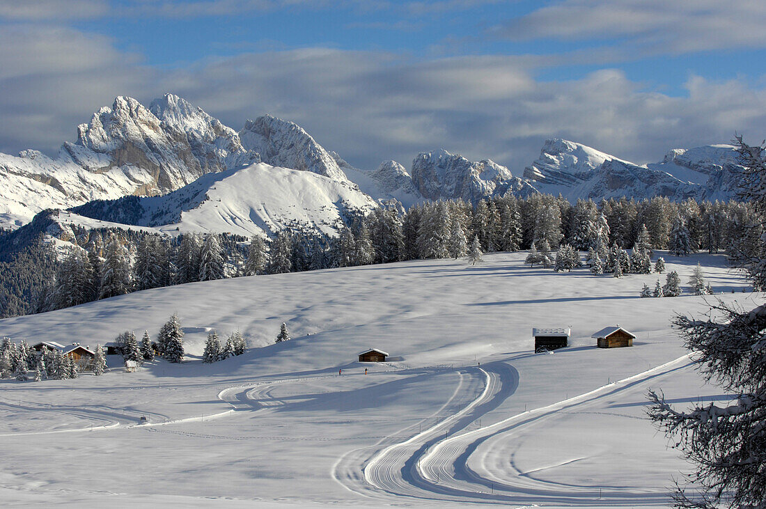 Cross country skiing trail, winter landscape with fresh snow, South Tyrol, Trentino-Alto Adige, Italy