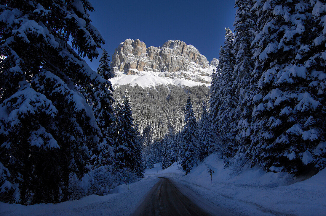 Karerpass, Rosengarten, Rosengartengruppe, UNESCO Weltnaturerbe, Dolomiten, Südtirol, Trentino-Alto Adige, Italien