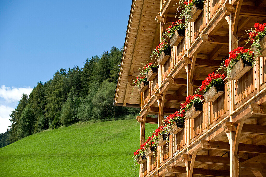 Geranien auf den Balkone wachsend, Hotel Lüsner Hof, Luson, Südtirol, Trentino-Alto Adige, Italien